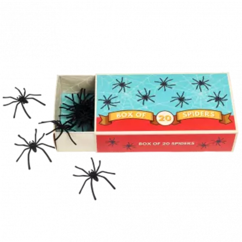 Rex Box of Spiders