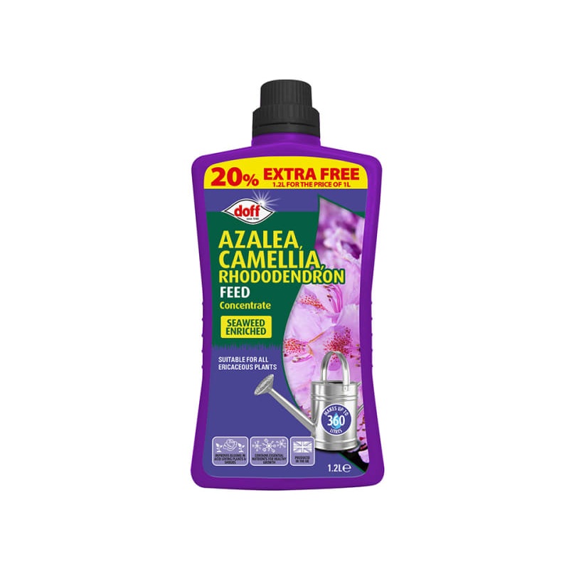 Azalea/Camilia/Rhododendron Feed Concentrated 1L +20% Free F-JZ-A20-DEX