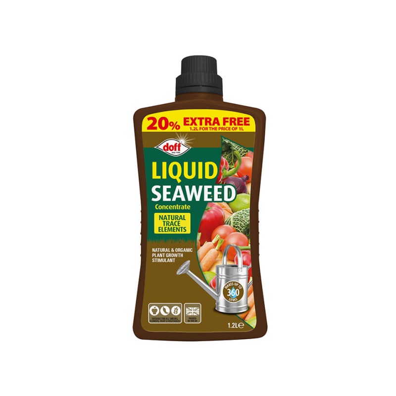 Liquid Seaweed Concentrated 1L +20% Free F-JO-A20-DEX