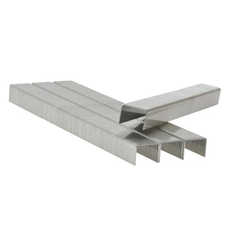 Dargan T50 Staples 10mm Pack 1200